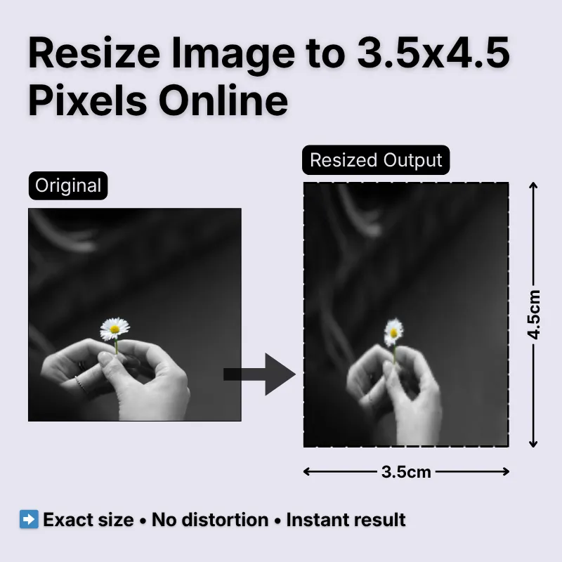 resize-image-to-3-5x4-5cm