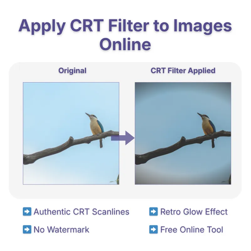 filter_crt-filter
