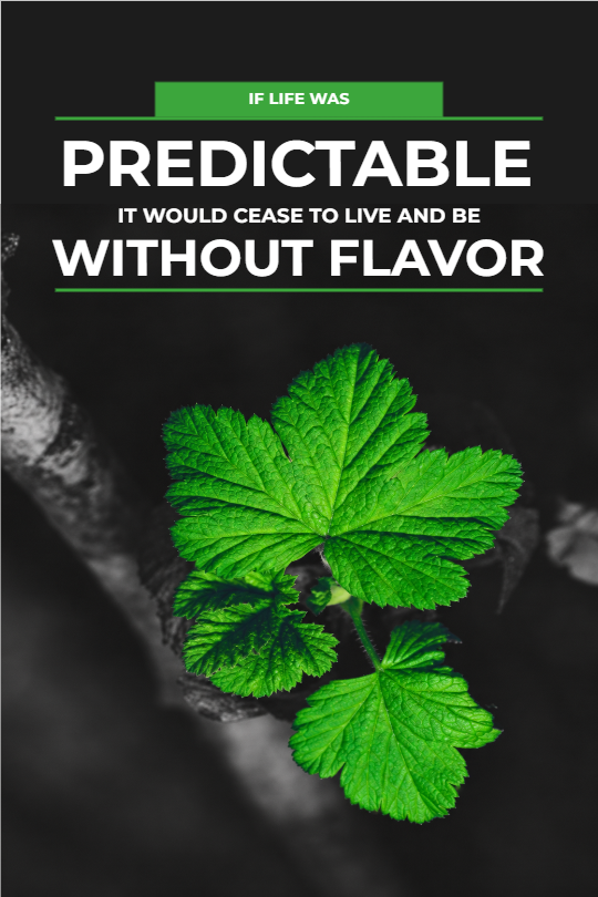 Predictable Without Flavor — Tumblr Graphic template